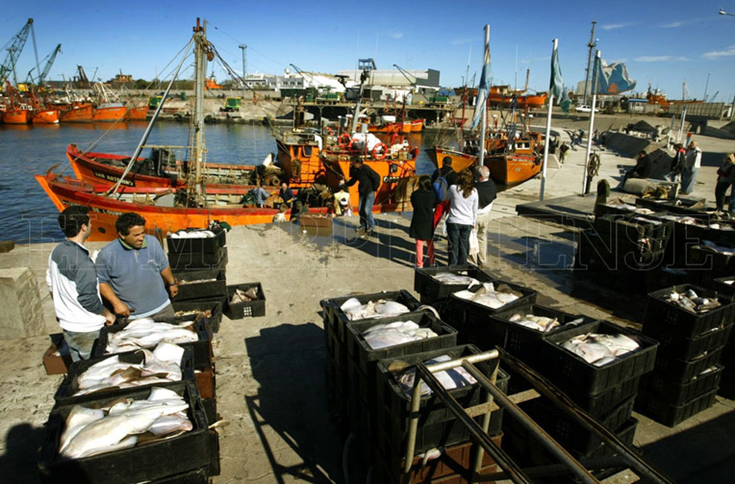 "Está todo dado para que se procese el langostino en Mar del Plata"