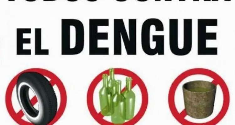 Continúa la campaña contra el dengue