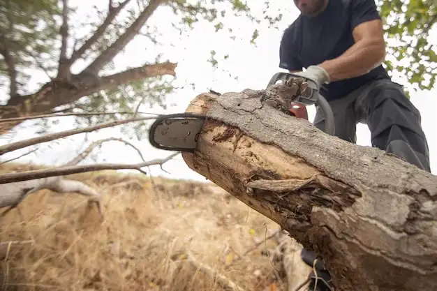 El último hábito de Stephen Covey y una analogía con cortar un árbol con una sierra sin filo.