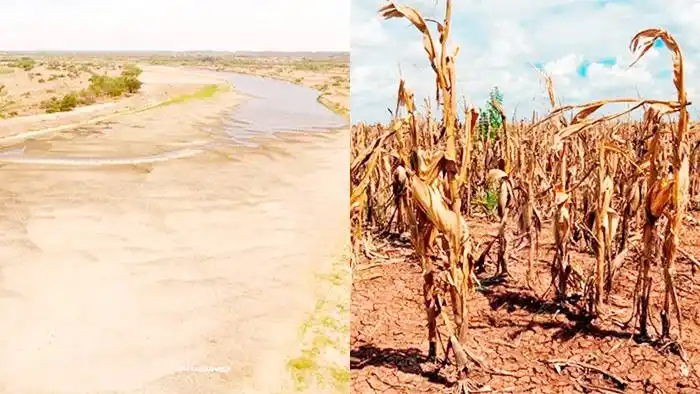 Investigador del Conicet, sobre la sequía y los ríos:  �SNo hemos visto lo peor⬝