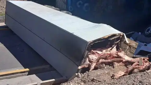 Volcó un camión con carne y vecinos intentaron llevarse las medias reses