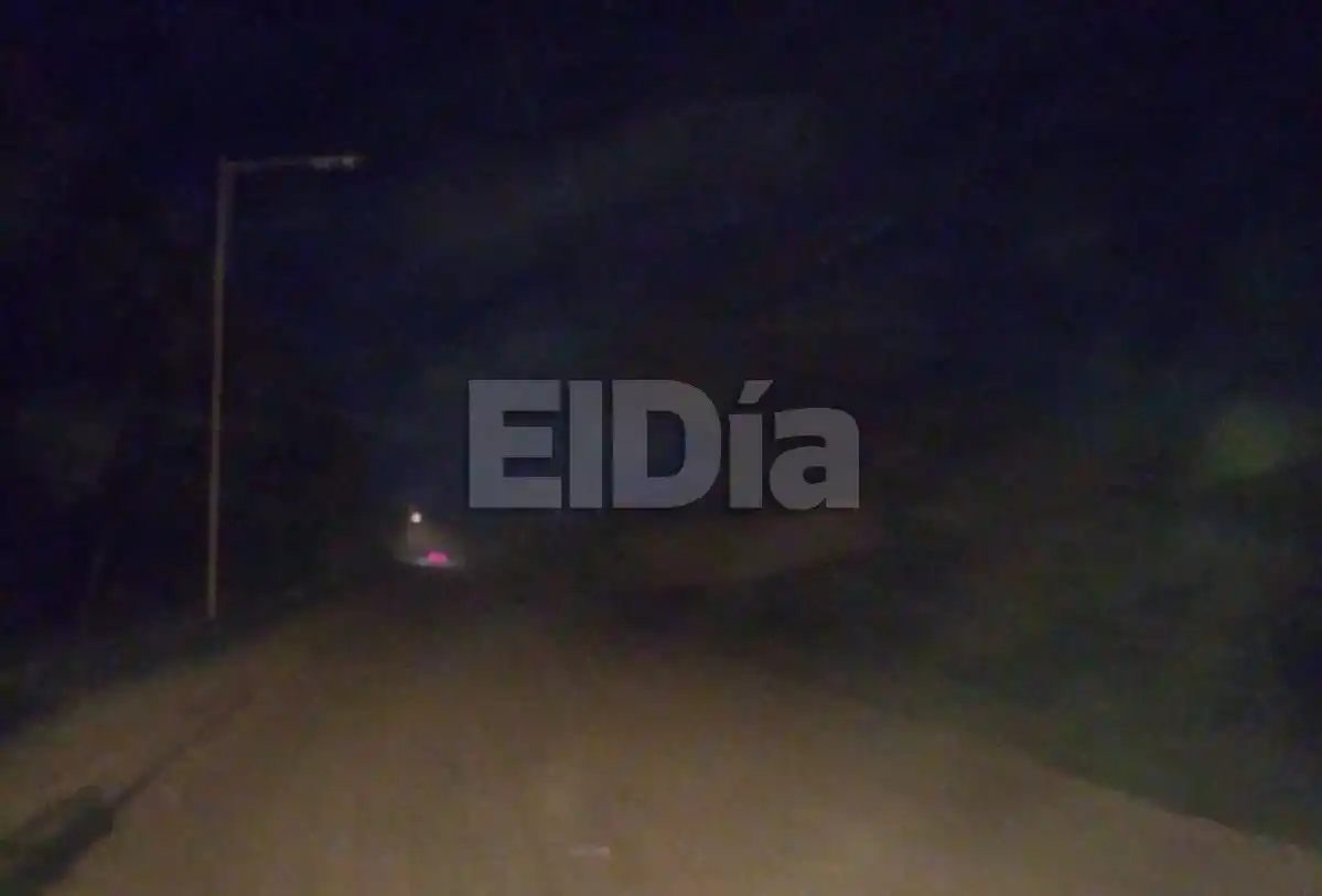 Más de 7 cuadras a oscuras: vecinos denunciaron el robo de cables del tendido de luz