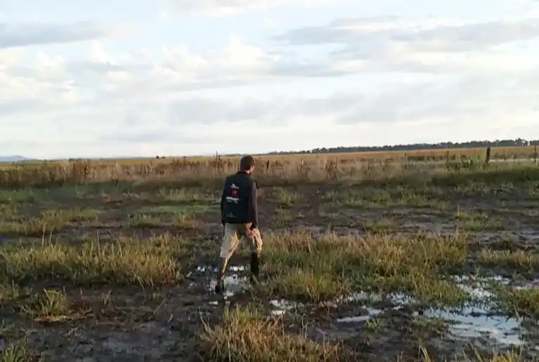 La Provincia oficializó la  emergencia agropecuaria por sequía y el campo pide más plazos