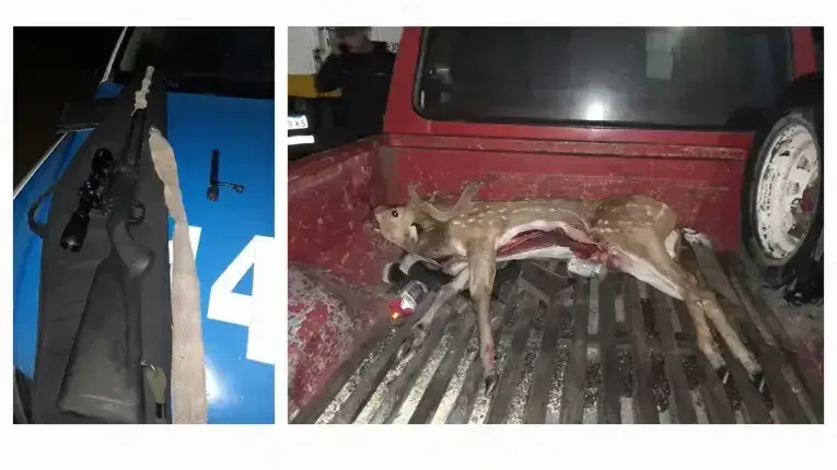 Identificaron a cinco hombres con ciervos axis abatidos y armas de fuego en operativos