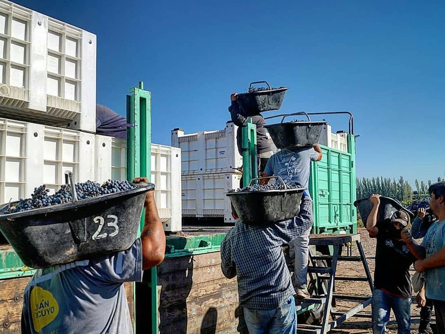 Feliz día a todos los trabajadores de las viñas.