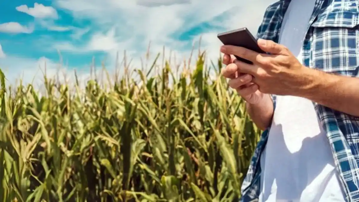 Financiamiento 2025: el agro apostó por el dólar y el crédito digital
