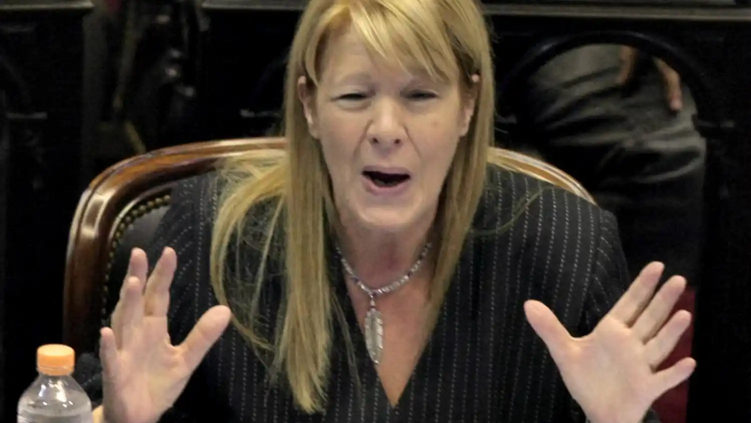 Tras insultos en Diputados, Stolbizer cruzó a Carrió: “Tiene un trastorno de personalidad, es muy Cristina”