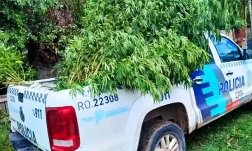 El operativo se realizó en Lagomarsino. Foto Archivo.