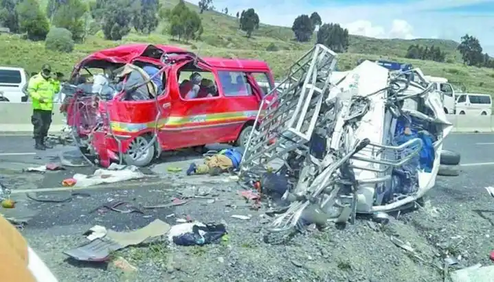 Bolivia: 17 muertos y más de 10 heridos en un choque frontal