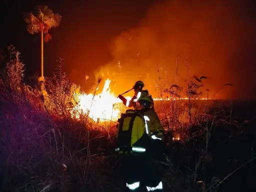 DECLARAN «DESASTRE NATURAL» por incendios forestales en Bolivia