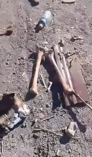 Se investigan huesos óseos encontrados en el basural