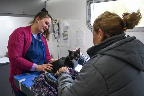 El programa municipal de castración de mascotas otorgó más de 60 turnos en el barrio 30 de Mayo
