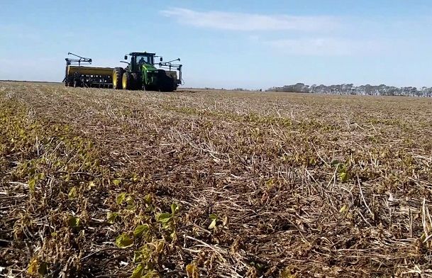 Agricultura: El productor local apuesta fuerte a la siembra de trigo