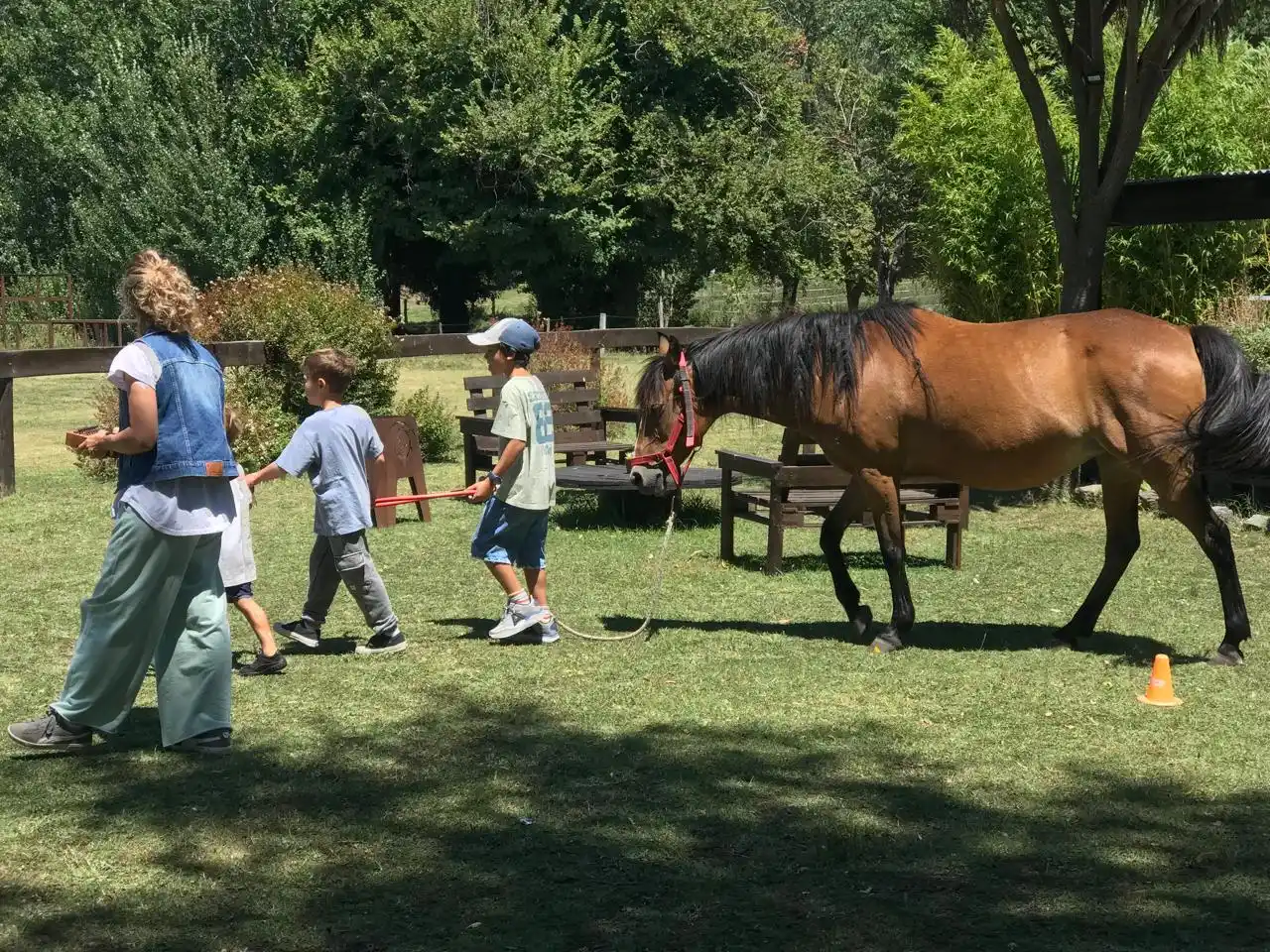 La ONG La Paloma trabaja desde 2002 con múltiples dinámicas con caballos.