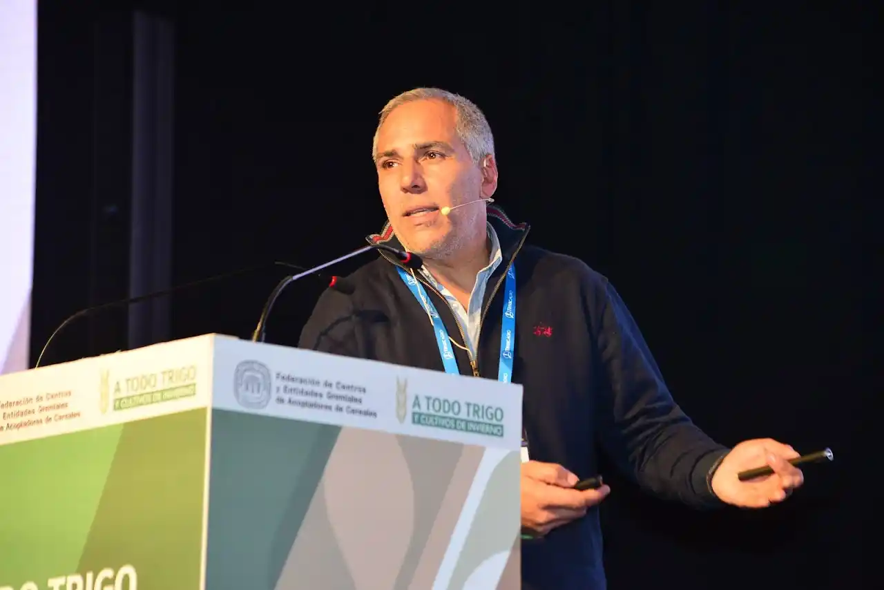 Producir un kilo de trigo agroecológico cuesta un 44% menos que del convencional