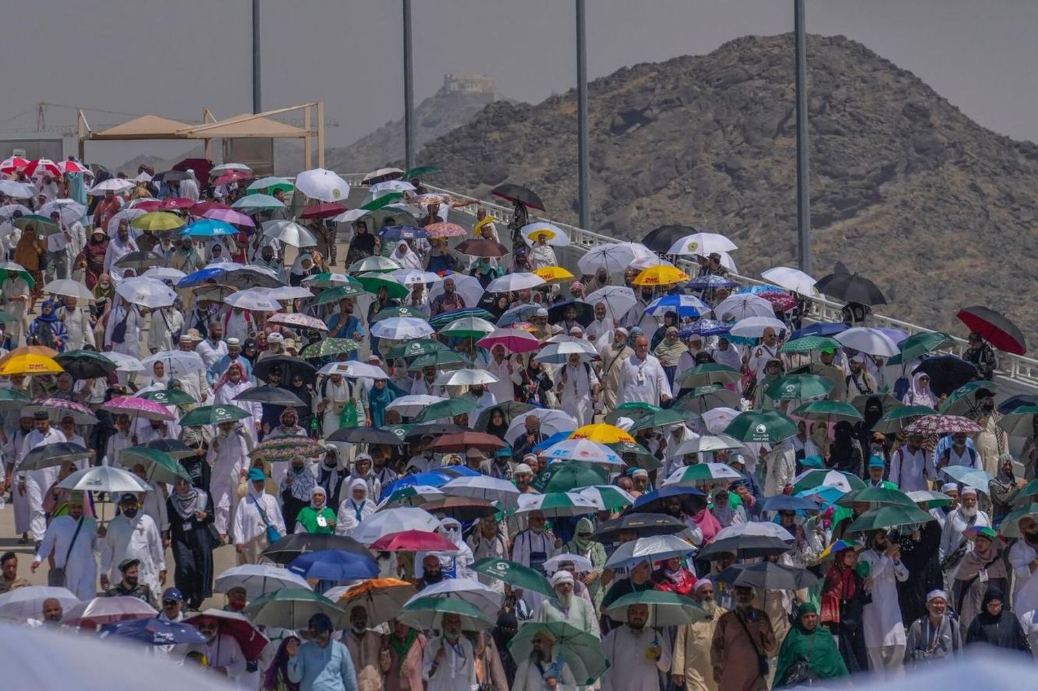 Country officials said dozens of Hajj pilgrims have died as Mecca temperatures hit 120F, and seen here Muslim pilgrims using umbrellas to shield themselves from the sun near the holy city of Mecca, on June 18.