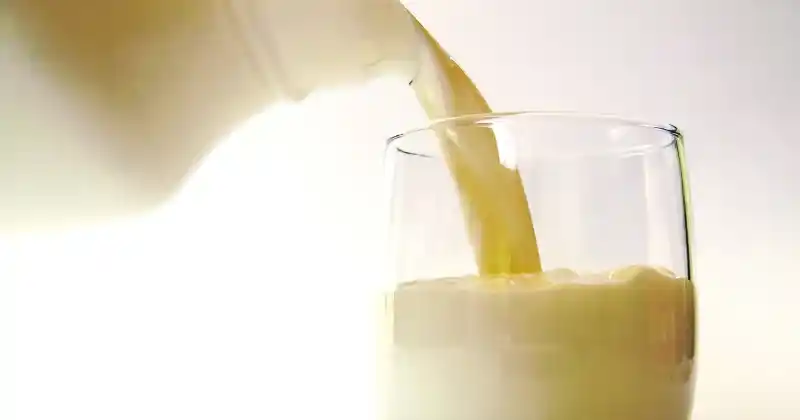 La OCLA monitoreó el nivel de exportaciones de productos lácteos.