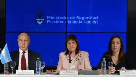 Vidal participó de la tercera reunión del Consejo de Seguridad Interior