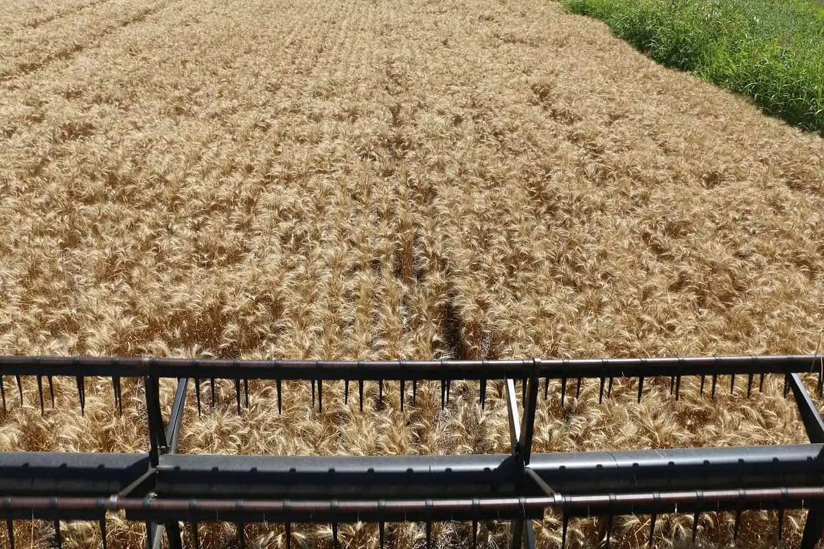 Dirigentes rurales rechazan la suba de las retenciones a soja, trigo y maíz