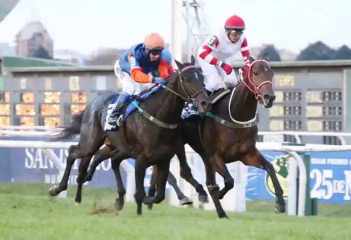 Viernes 3: Actividad Hipódromo de San Isidro