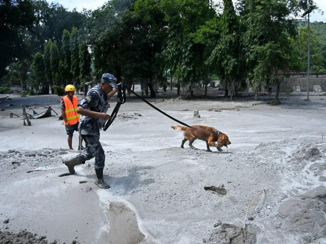 AFP