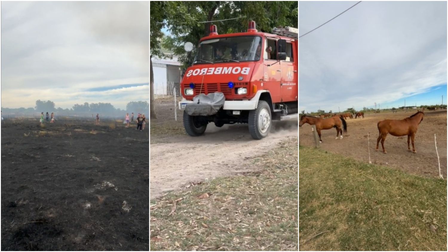 Desesperante incendio en Uribelarrea: las llamas arrasaron el predio de una ONG que rescata caballos maltratados