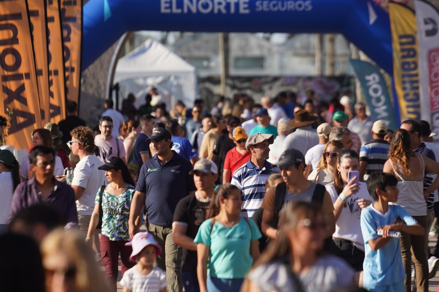 san francisco expone