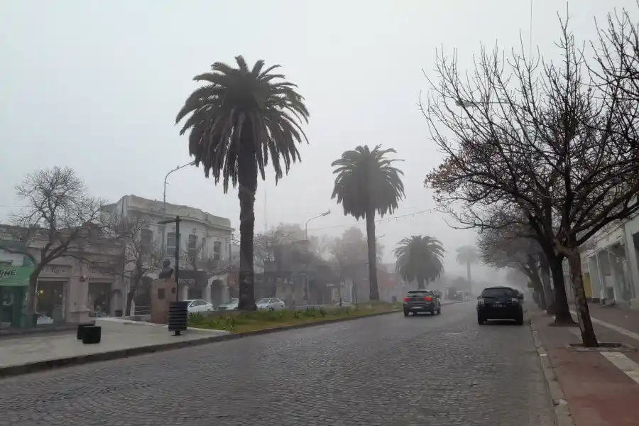 La niebla se transformó en llovizna: húmeda mañana en la ciudad con calzadas resbaladizas