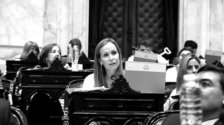 Cresto reclamó una tarifa eléctrica diferencial para Entre Ríos