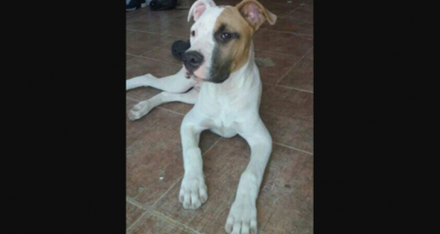 Buscan a Kevin por la zona de Las Provincias y Quiroga