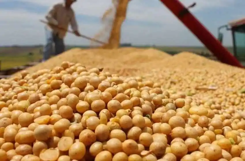¿Por qué la soja superó los 400 dólares la tonelada?