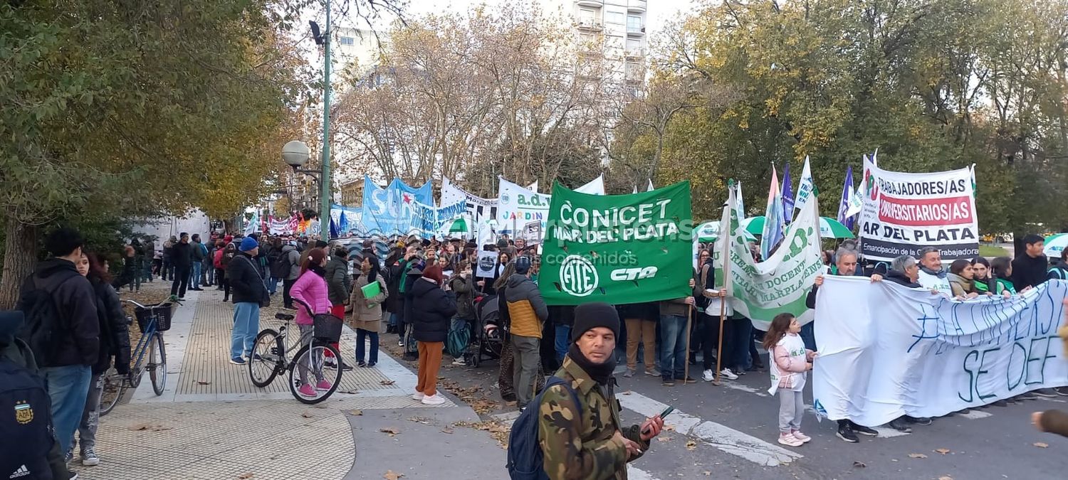 marcha docente