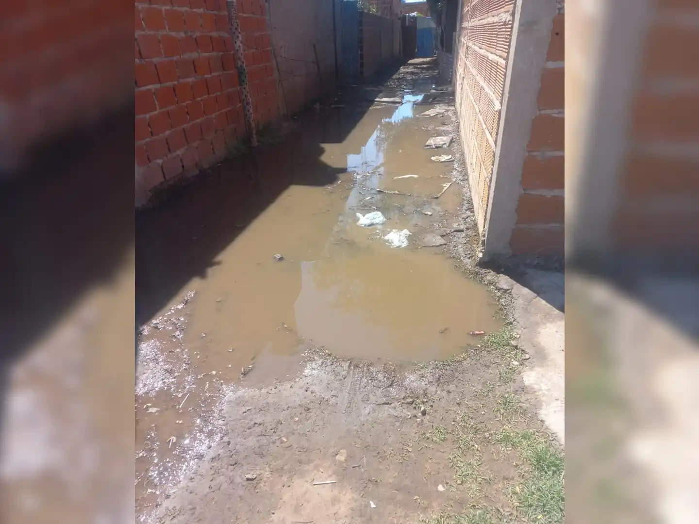 Imagen de las cloacas rebalsadas.