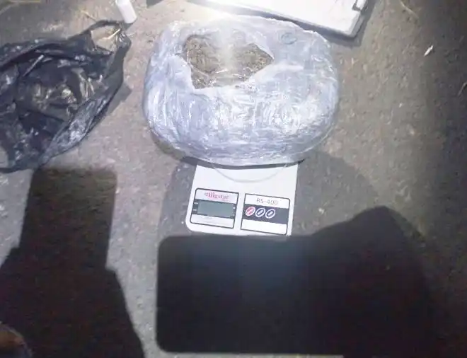 La Policía secuestró marihuana 
valuada en más de 220.000 mil pesos