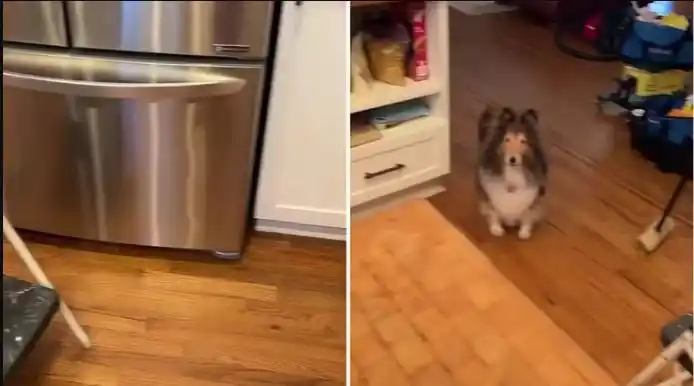 Estaba limpiando y vivió un fenómeno paranormal que se viralizó