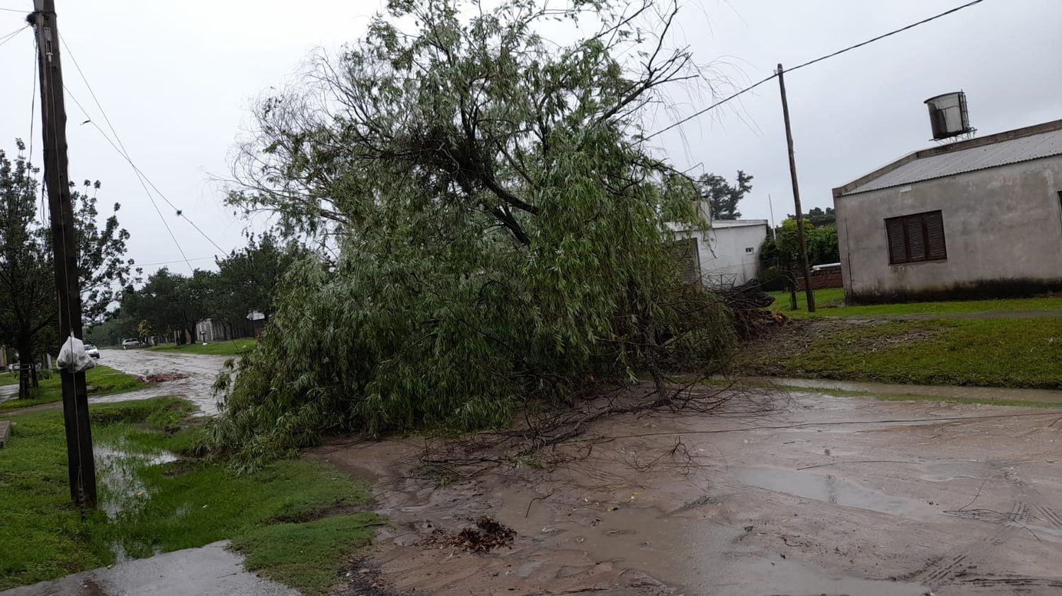 Volvió a llover en el norte santafesino con fuertes ráfagas de viento