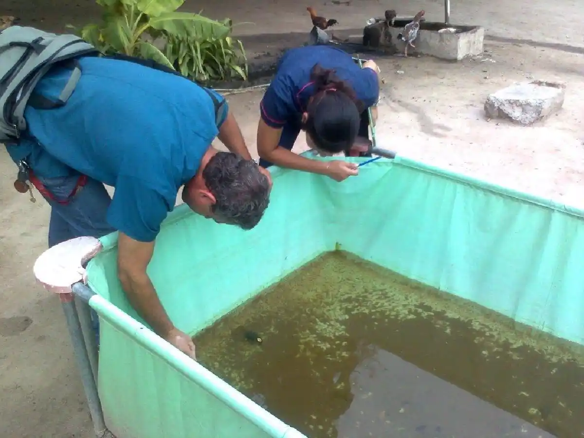 Dengue:  sin fumigaciones, erradicaron larvas de mosquitos que había en 1 de cada 6 viviendas de barrio Parque 