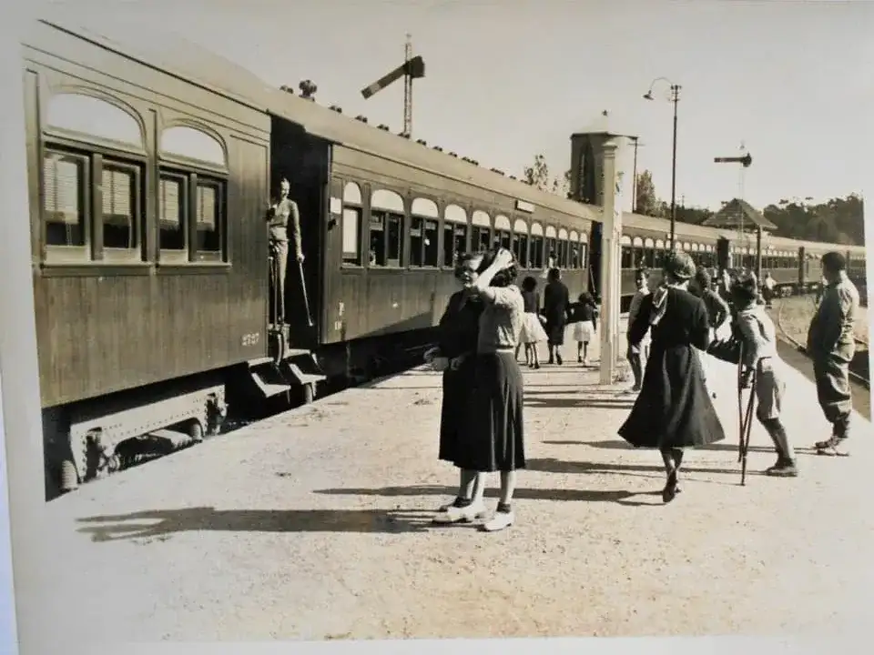 tren mar del plata - 3