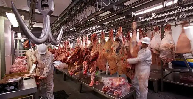 Acuerdo con China para el ingreso de todo tipo de cortes de carne argentina