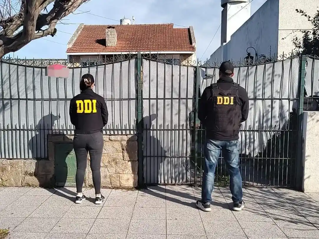 DDI Geriátrico 3