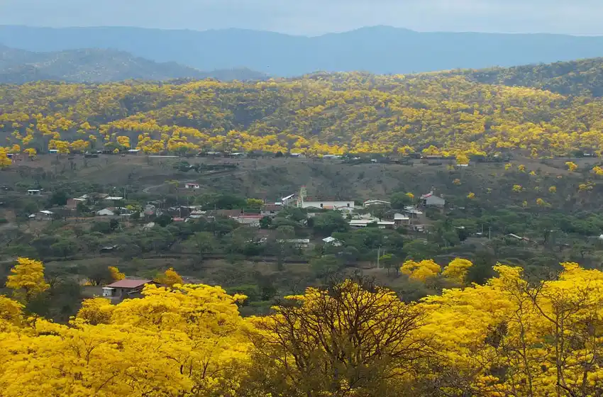 Presentaron la Reserva de Biosfera Transfronteriza