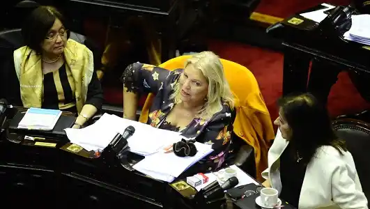 Carrió: "Pido la exclusión de De Vido por infame y traidor a la patria"