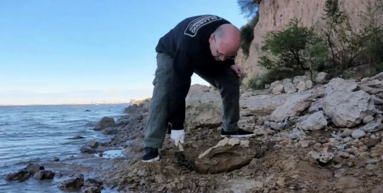 El hallazgo se realizó en las barrancas del río Paraná, en Capitán Bermúdez, el 3 de agosto de 2025.