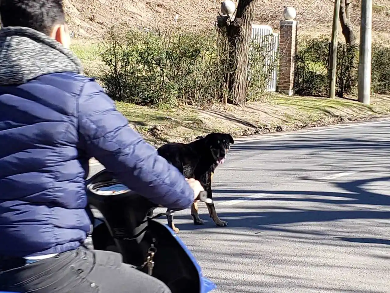 Foto ilustrativa La Opinión.