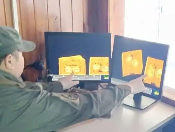 Gendarmería rescató a seis crías de serpientes que eran enviadas en una encomienda