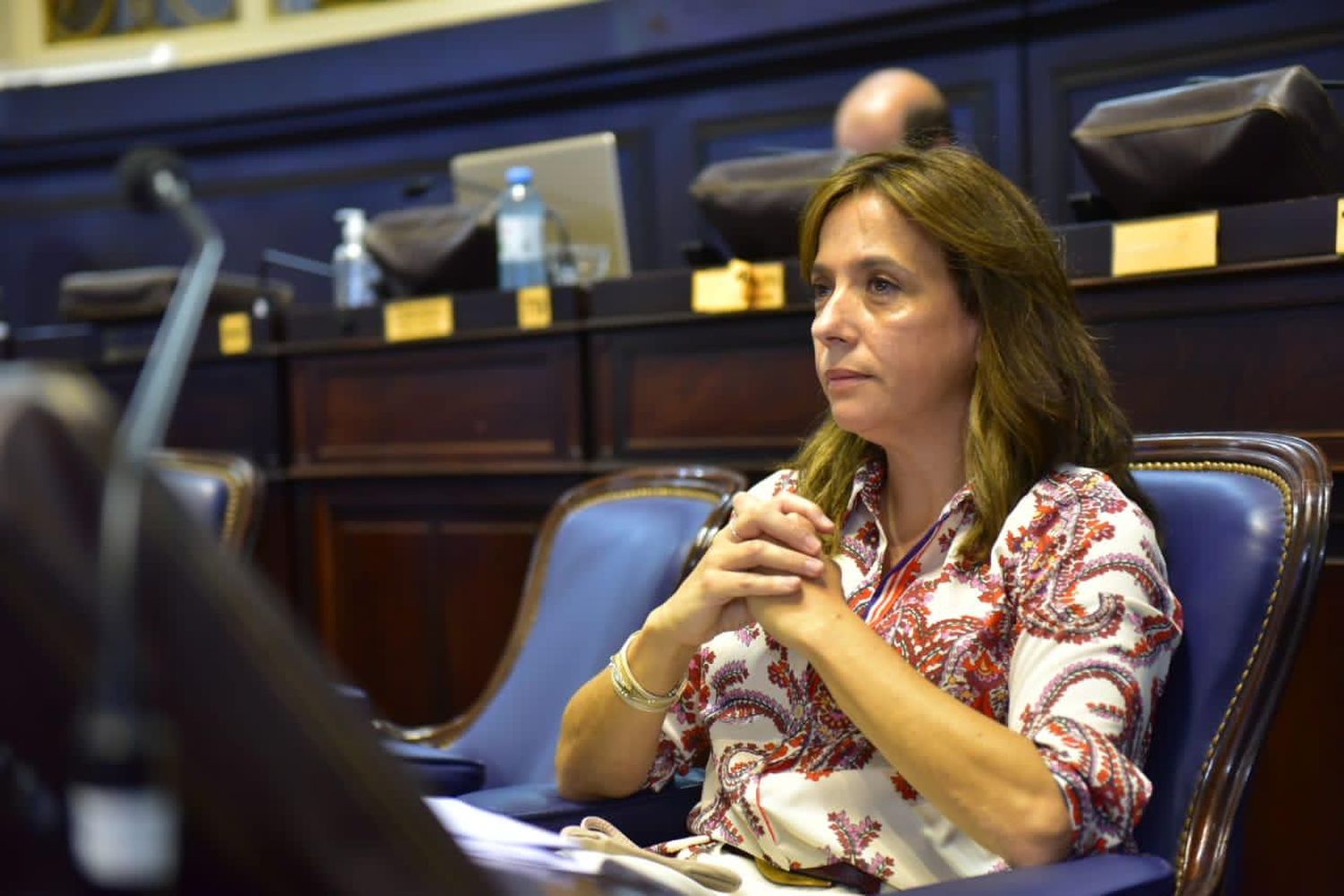 Diputados aprobó la plataforma bonaerense que alerta por urgencias rurales: "Se termina una gran injusticia"