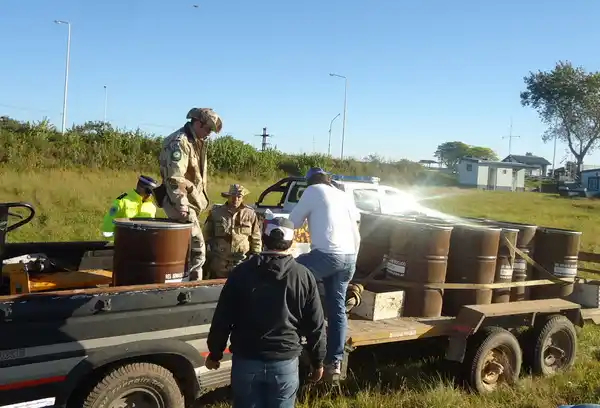 Cargamento clandestino de miel y pescado fue detectado por la Policía