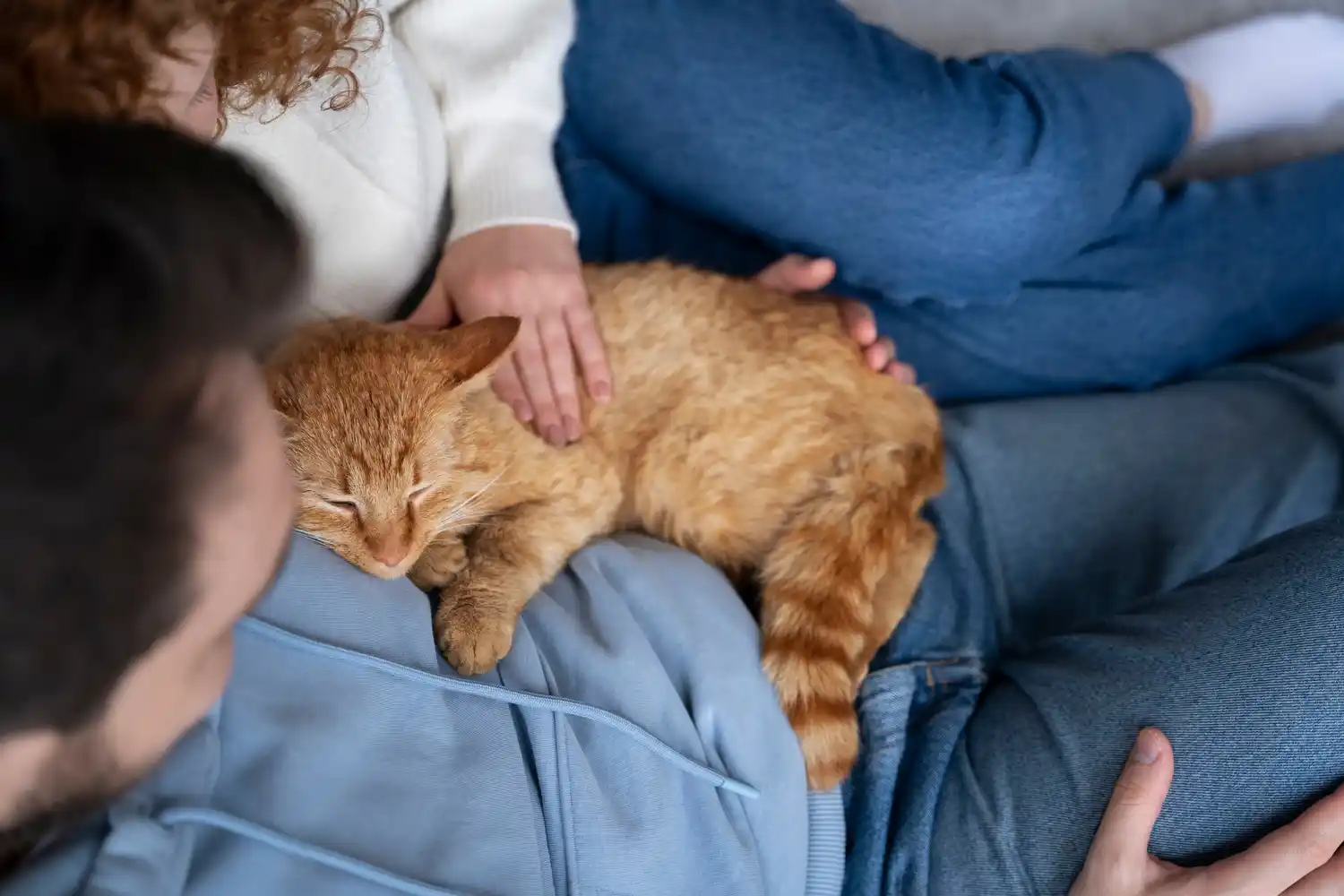 gatos durmiendo sobre personas - 2