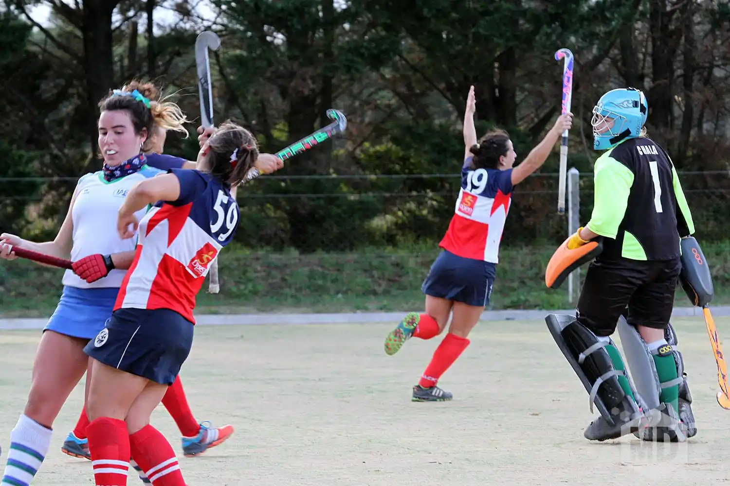 Sigue sólo en la cima