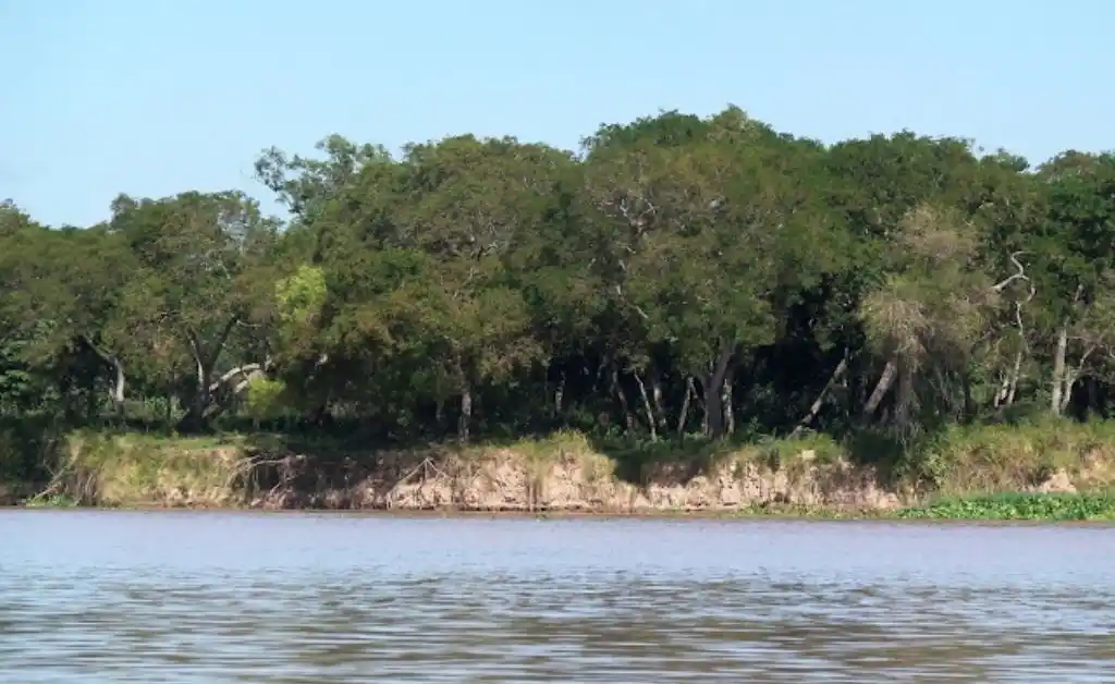 Buscan a dos niños que se cayeron al río cerca de Arroyo Leyes
